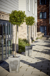 Mousehold View image 3